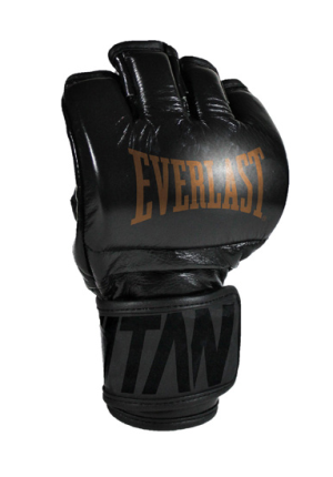 Titan Pro MMA Glove